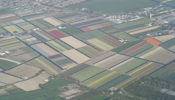 Cheerful view from the air: spring in the Netherlands!