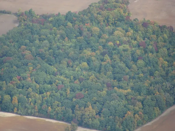 Beautiful autumn colors during a warm spell in Toronto.